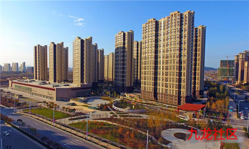 66b2ddd431806.jpg